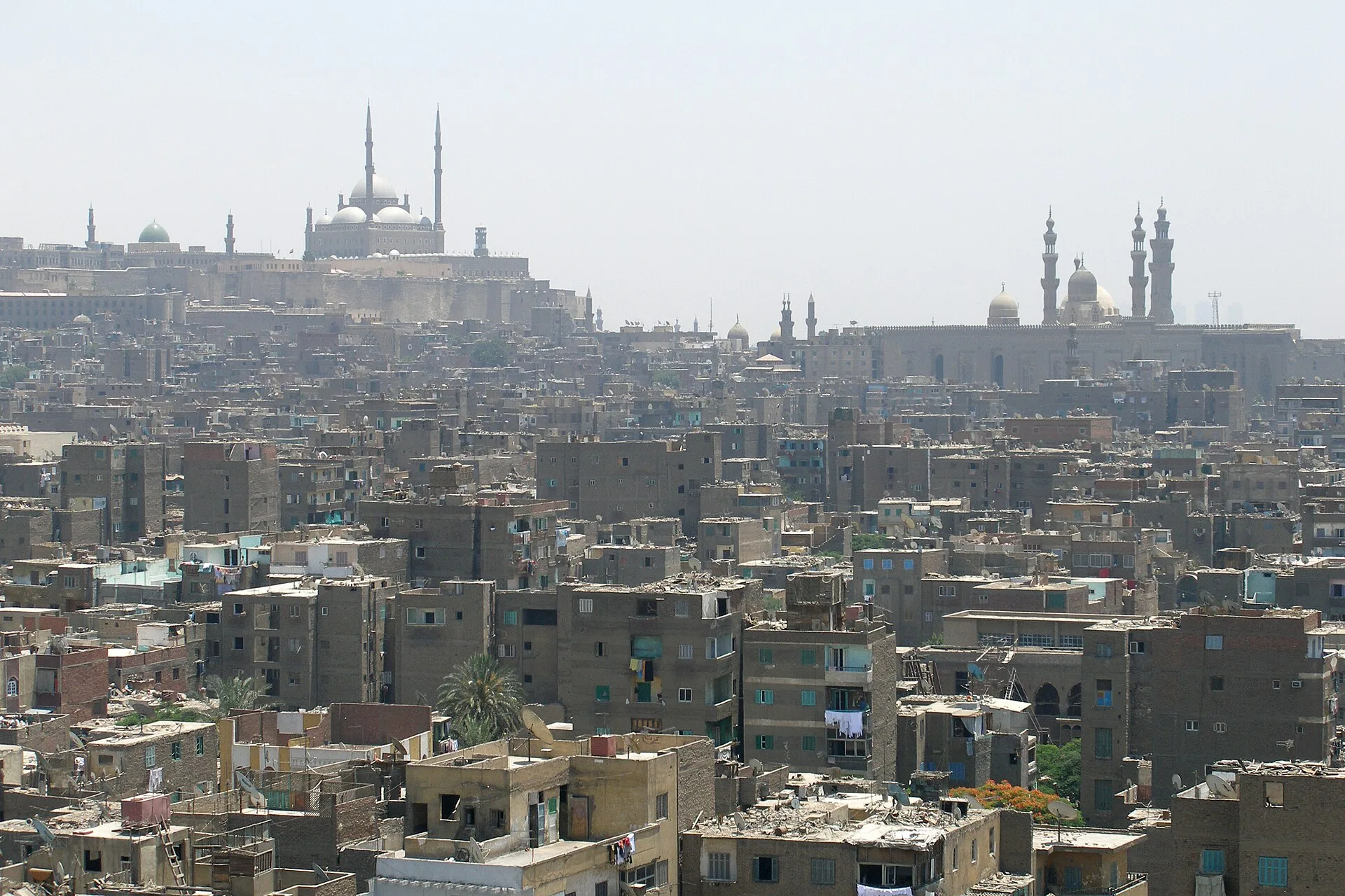 Rooftops of Islamic Cairo stretching toward the Citadel and Muhammad Ali Mosque