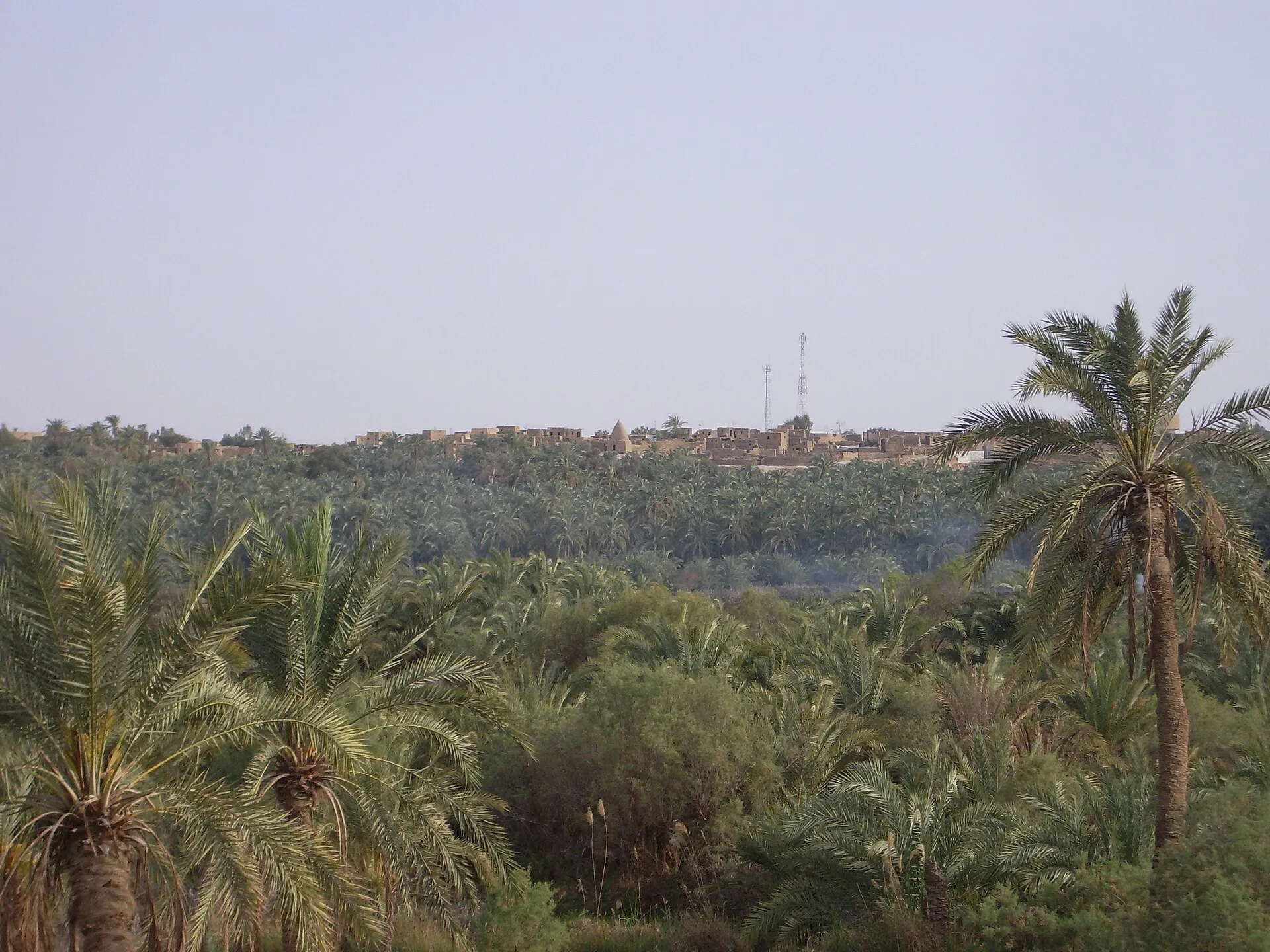 Palm orchards surrounding the town of Bawiti in Bahariya Oasis