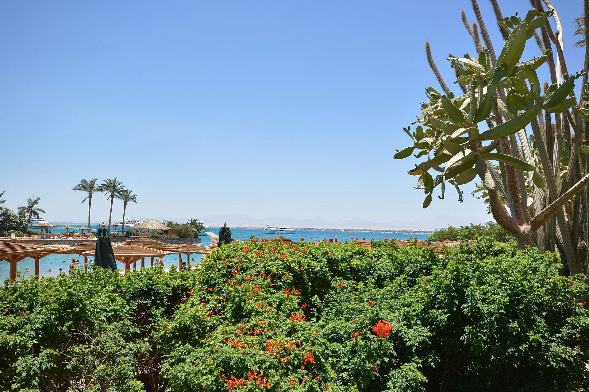 Flowering garden with a sea view at Hurghada Marriott Beach Resort