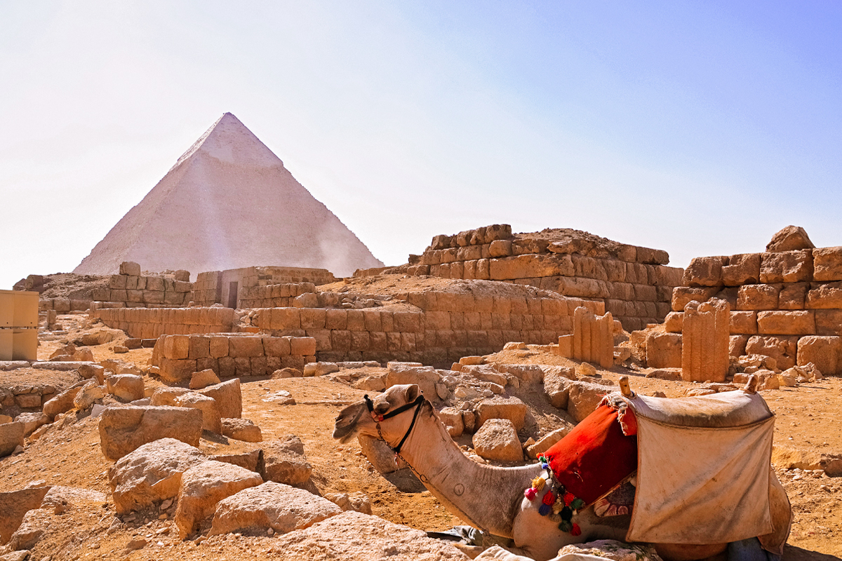 Tourism Companies in Egypt